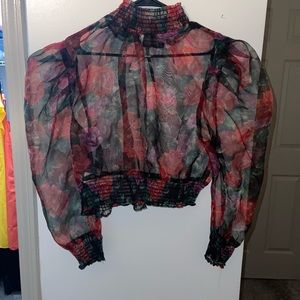 Sheer Crop Top Blouse